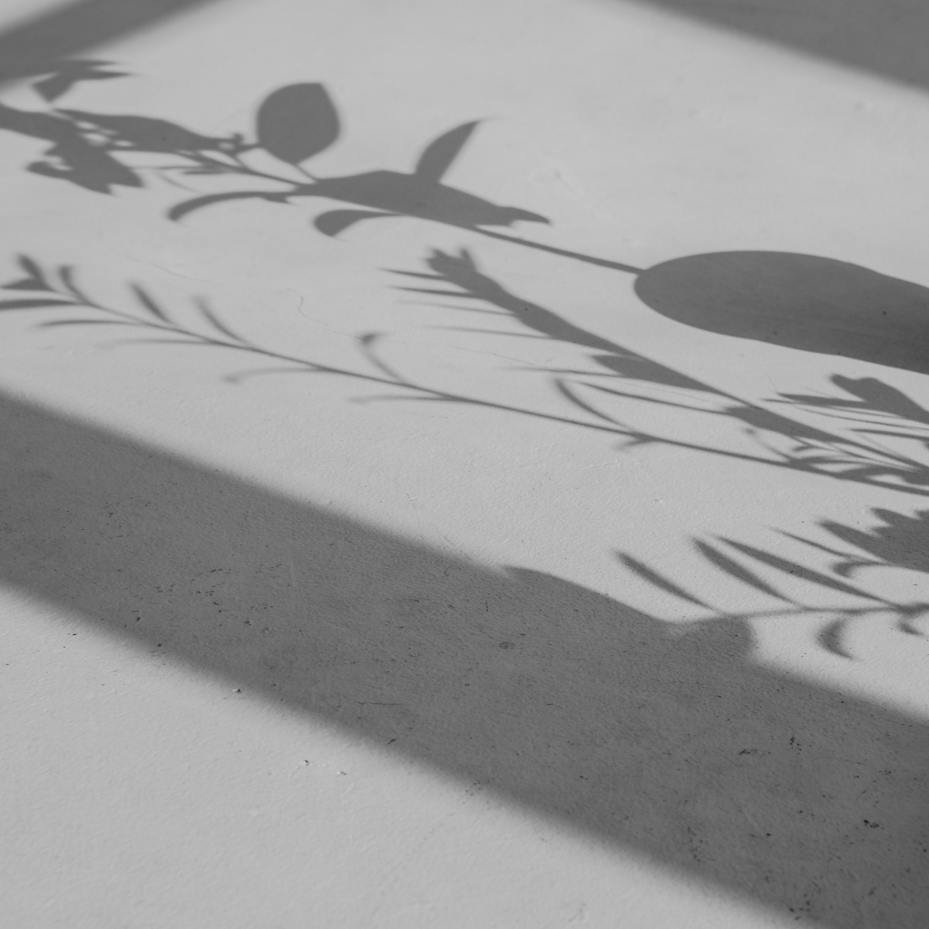 What does it really cost?